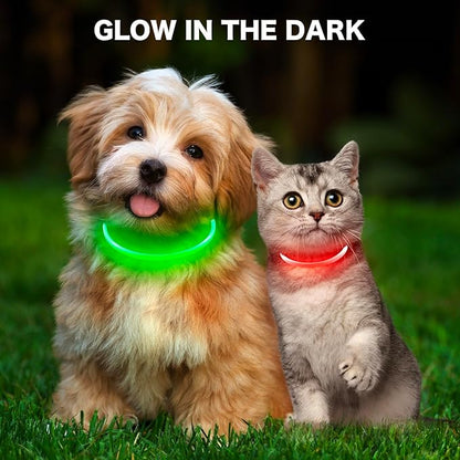 BSEEN Light Up Dog Collar - Rainproof LED Dog Collar Rechargeable - TPU Cuttable Glowing Puppy Collar for Small Dogs&amp; Cats, High Visibility Safety Dog Lights for Night Walking (XS-Red 40cm)