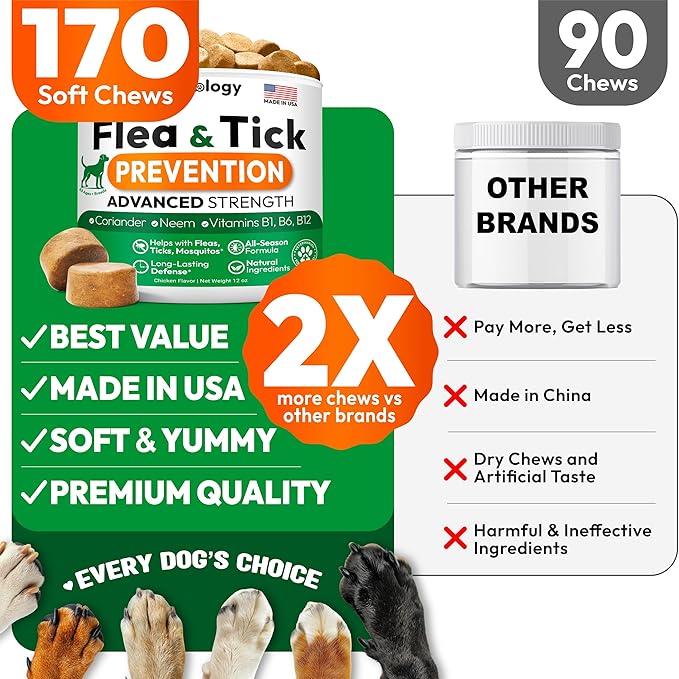 Flea and Tick Prevention for Dogs Pills - Natural Dog Flea &amp; Tick Control - 170 Soft Chewables - Oral Defense Treatment for Dogs Supplement - Vet Formulated Chews - All Breeds &amp; Ages - Made in USA