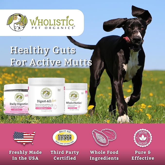 Wholistic Pet Organics Probiotics for Dogs with Digestive Enzymes &amp; Prebiotic Fiber - 4 Oz - Daily Cat &amp; Dog Probiotics for Digestive Health, Anti Diarrhea &amp; Gut Support - Natural Powder Supplement