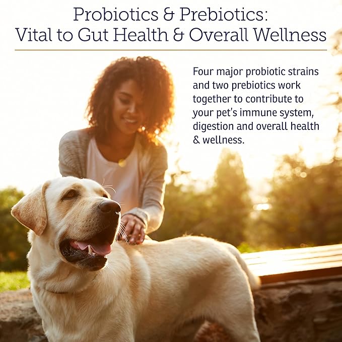 Rx Vitamins Rx Biotic - Probiotic Powder for Dogs and Cats - Cat Digestive Support &amp; Probiotic for Dogs Gut Health - Dog Probiotics for Digestive Health - 1.25oz