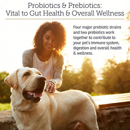 Rx Vitamins Rx Biotic - Probiotic Powder for Dogs and Cats - Cat Digestive Support &amp; Probiotic for Dogs Gut Health - Dog Probiotics for Digestive Health - 1.25oz