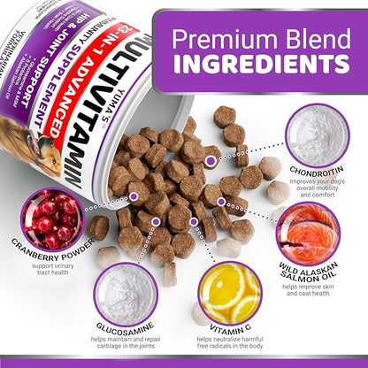 2-Pack Dog Multivitamin Chewable with Glucosamine - Dog Vitamins and Supplements - Senior &amp; Puppy Multivitamin for Dogs - Hip &amp; Joint Support - Immune Health, Skin, Heart, Digestion, Probiotics