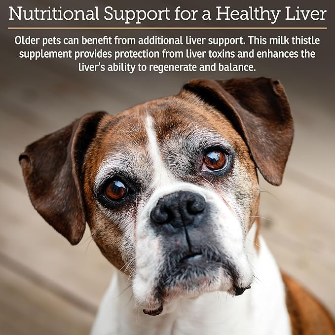 Rx Vitamins Liquid Hepato Support for Dogs &amp; Cats - Liver Support Supplement with Milk Thistle for Dogs (Silymarin &amp; Silybinin) and Vitamin B - Bacon Flavor (4oz)