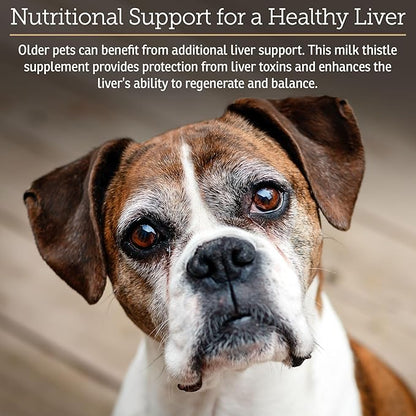 Rx Vitamins Liquid Hepato Support for Dogs &amp; Cats - Liver Support Supplement with Milk Thistle for Dogs (Silymarin &amp; Silybinin) and Vitamin B - Bacon Flavor (4oz)