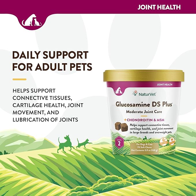 NaturVet – Glucosamine DS Plus - Level 2 Moderate Care – Supports Healthy Hip &amp; Joint Function – Enhanced with Glucosamine, MSM &amp; Chondroitin – for Dogs &amp; Cats–70 Soft Chews