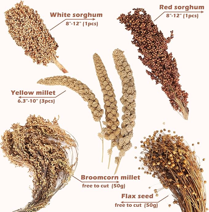 Natural Ear of Grain Flower&amp;Herb Bedding Mate Habitat Decor, Adding Fun Hamster Accessories for Hamsters Gerbils Lemming
