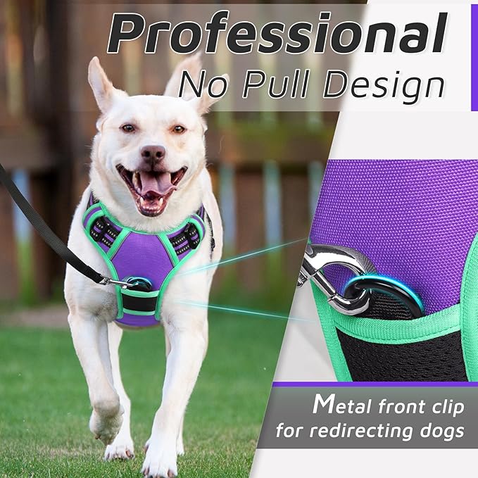 Eagloo Dog Harness Small Sized Dog, No Pull Service Vest with Reflective Strips and Control Handle, Adjustable and Comfortable for Walking, No Choke Pet Harness with 2 Metal Rings, Purple &amp; Green, S