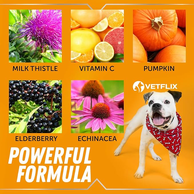 Allergy Immune Anti Itch &amp; Hot Spots - Made in USA Natural Pet Supplement for Cat &amp; Dog Allergy Relief with Turmeric &amp; Milk Thistle -Seasonal Allergies Digestive Treatment for Dogs &amp; Cats - 2 Fl Oz