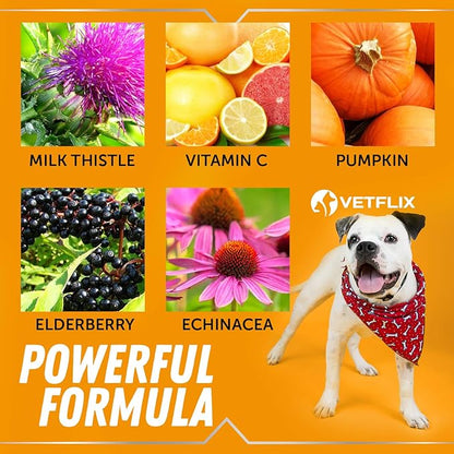 Allergy Immune Anti Itch &amp; Hot Spots - Made in USA Natural Pet Supplement for Cat &amp; Dog Allergy Relief with Turmeric &amp; Milk Thistle -Seasonal Allergies Digestive Treatment for Dogs &amp; Cats - 2 Fl Oz
