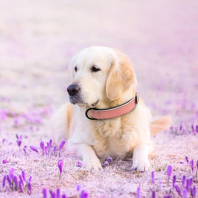 Didog Soft Padded PU Leather Dog Collar, Breathable and Adjustable Pink Dog Collars for Medium Dogs, Comfortable for Daily Walk, Pink, L Fit Neck 13-17"(22-44 lbs)