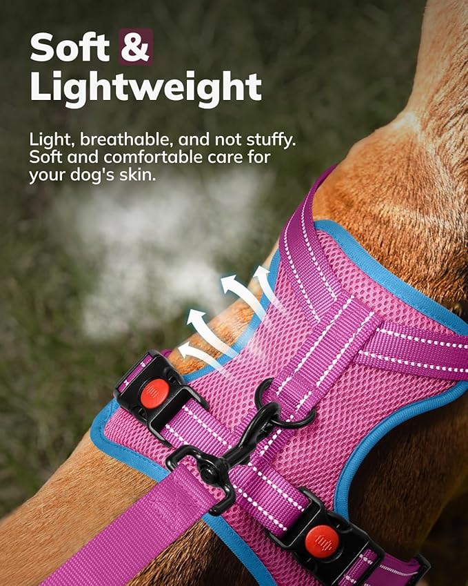 MIDOG No-Pull Dog Harness | Adjustable &amp; Reflective Pet Harness Leash Set for Small Medium Large Dogs Walking, Training| No Choke, Front Clip, Soft Padded Vest with Easy Control Handle - Pink, L