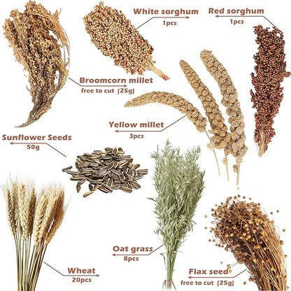 Natural Ear of Grain Flower&amp;Herb Bedding Mate Habitat Decor, Adding Fun Hamster Accessories for Hamsters Gerbils Lemming