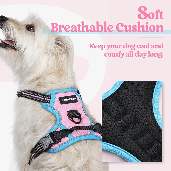 rabbitgoo Dog Harness No Pull with 2 Leash Clips, Adjustable Soft Padded, Reflective Oxford No Choke Pet Vest with Easy Control Handle for Puppy, Pink &amp; Blue, XS