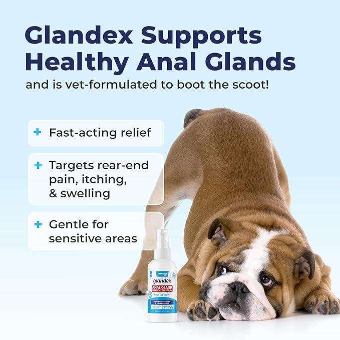 Vetnique Glandex Medicated Dog Butt Wipes or Spray for Dog Scooting - Topical Anti Itch Skin Relief for Soothing Inflamed Anal Glands in Dogs &amp; Cats - Fast Acting Formula (4oz Spray)