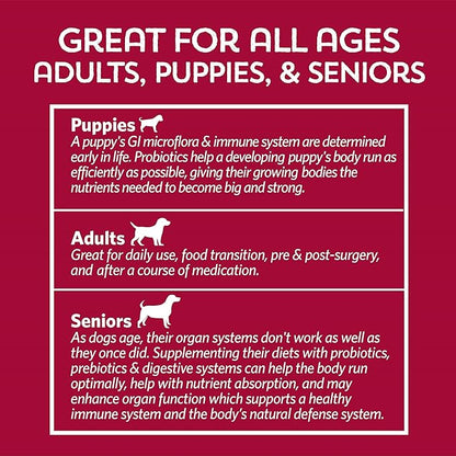 Fidobiotics Good Guts for Lil Mutts Probiotic for Dogs, Billions of CFUs, 11 Strains, 5 Digestive Enzymes, 2 Prebiotics, Digestive Gut Health for Dogs, Adult &amp; Puppy Probiotics Supplements (30 Days)