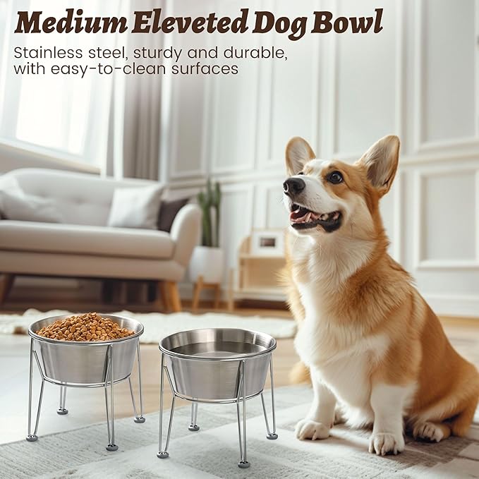 Elevated Dog Bowls for Medium&amp;Small Dogs - Stainless Steel 48oz/6 Cups Raised Feeder with Non-Slip Base, Dual Food &amp; Water Bowls 2-Pack