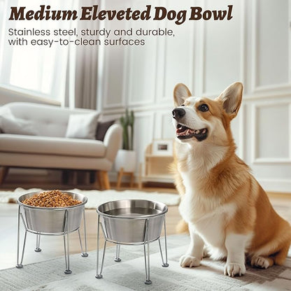 Elevated Dog Bowls for Medium&amp;Small Dogs - Stainless Steel 48oz/6 Cups Raised Feeder with Non-Slip Base, Dual Food &amp; Water Bowls 2-Pack