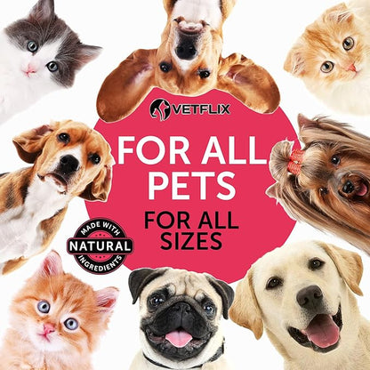 Pet Vitamins 10 in 1 - Made in USA - Glucosamine for Dogs &amp; Cats - Dog Supplement for Pet Joint Health - Natural Cat, Dog Multivitamin - All Ages &amp; Breeds - Folic Acid for Cats &amp; Dogs Immune - 2 Fl Oz