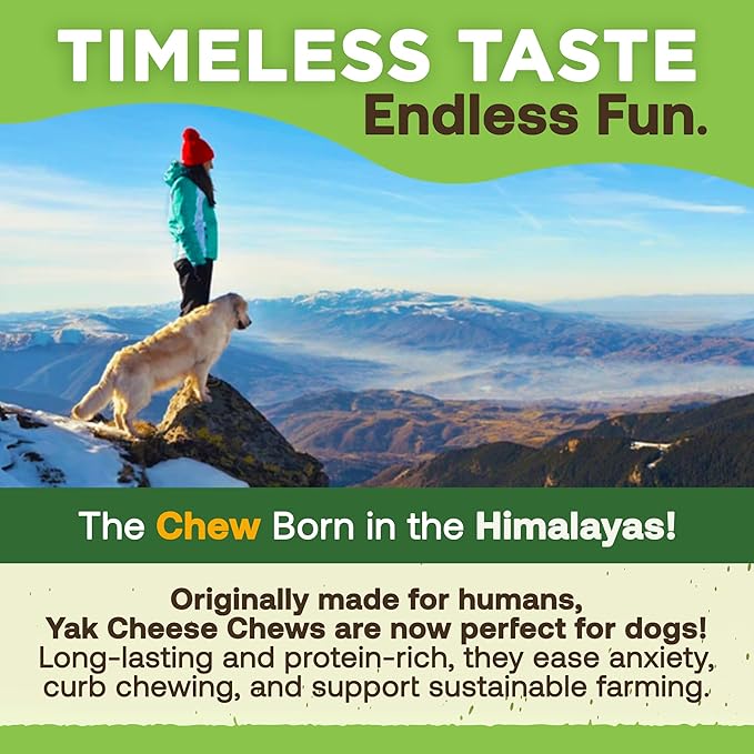 Ecokind Himalayan Chews, Healthy Treats, Odorless, Rawhide Free, Long Lasting Dog Bones for Aggressive Chewers, Indoors &amp; Outdoor Use, Made in The Himalayas, Large (Pack of 20)