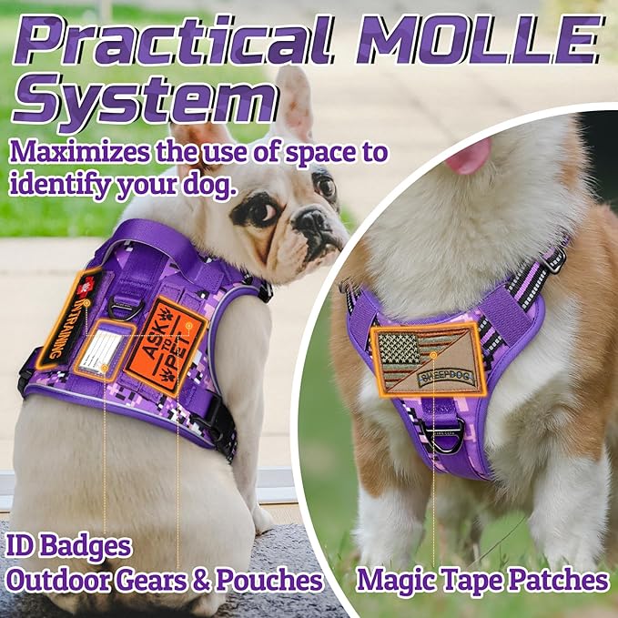 rabbitgoo Tactical Dog Harness for Small Dogs, No Pull Military Service Vest with Handle &amp; Molle, Easy Control for Training Walking, Adjustable Reflective Straps, Purple Camo, S