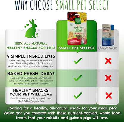 Small Pet Select Healthy Snackers Mini Cookies- Apple Banana, 2 oz (Pack of 2)