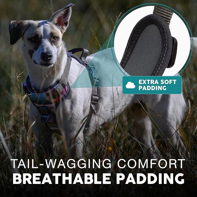 Embark Adventure Dog Harness, Reflective Trim XL Dog Harness for Extra Large Dogs No Pull - Military Grade Nylon, 2 Leash Clips &amp; Gel Lined Handle. Soft &amp; Padded Puppy Dog Harnesses for Any Breed