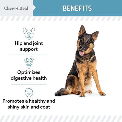 12-in-1 Multivitamin Powder for Dogs - 5.4 oz of Puppy and Senior Dog Vitamins and Supplements - Advanced Formula with Glucosamine, Omega 3,6,9, Vitamins, Probiotics, and More - Made in The USA