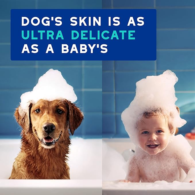 DOUXO® Skin &amp; Coat SPA - Ultra-Safe Odor Control Dog Shampoo for Smelly Dogs, 16 fl oz, Cleans and Hydrates The Skin, Removes Odor, Leaves The Coat Soft and Smelling Great, Skin-Friendly Formula