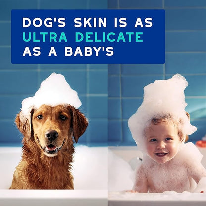 DOUXO® Skin &amp; Coat SPA - Ultra-Safe Odor Control Dog Shampoo for Smelly Dogs, 16 fl oz, Cleans and Hydrates The Skin, Removes Odor, Leaves The Coat Soft and Smelling Great, Skin-Friendly Formula