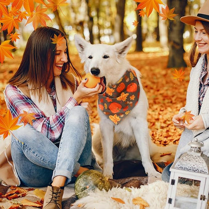 Abbylike 50 Pcs Fall Dog Bandanas Bulk Pumpkin Bandanas for Dogs Triangle Kerchief Bibs Scarf for Small Medium Large Pets Autumn Thanksgiving Costume Accessories, 25 Styles (31.5 x 21.7 x 21.7 Inch)