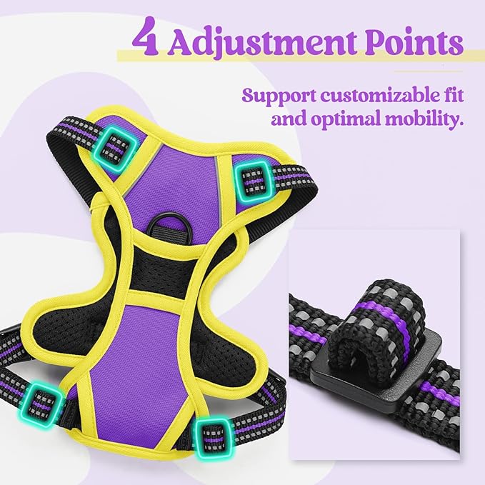 rabbitgoo Dog Harness No Pull with 2 Leash Clips, Adjustable Soft Padded, Reflective Oxford No Choke Pet Vest with Easy Control Handle for Puppy, Purple &amp; Yellow, XS