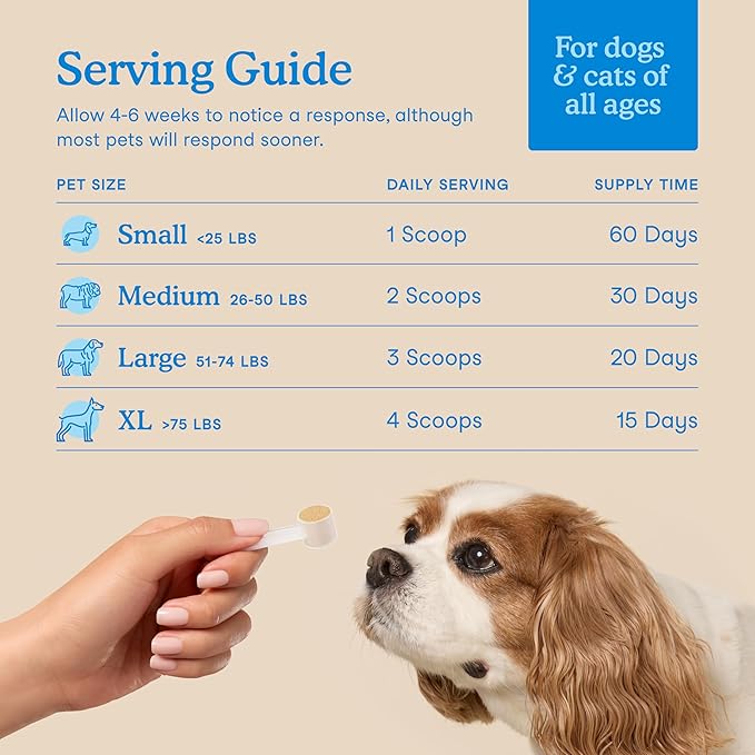 Fera Pets Cat &amp; Dog Dental Support Powder - Supports Fresh Breath - Promotes Healthy Teeth and Gums - Targets Tartar Build-Up - Includes Kelp, Enzymes &amp; Postbiotics - 60 Scoops