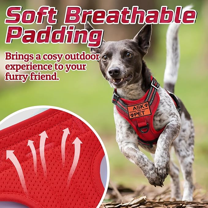 rabbitgoo Tactical Dog Harness for Small Dogs, No Pull Military Service Vest with Handle &amp; Molle, Easy Control for Training Walking, Adjustable Reflective Straps, Red, S
