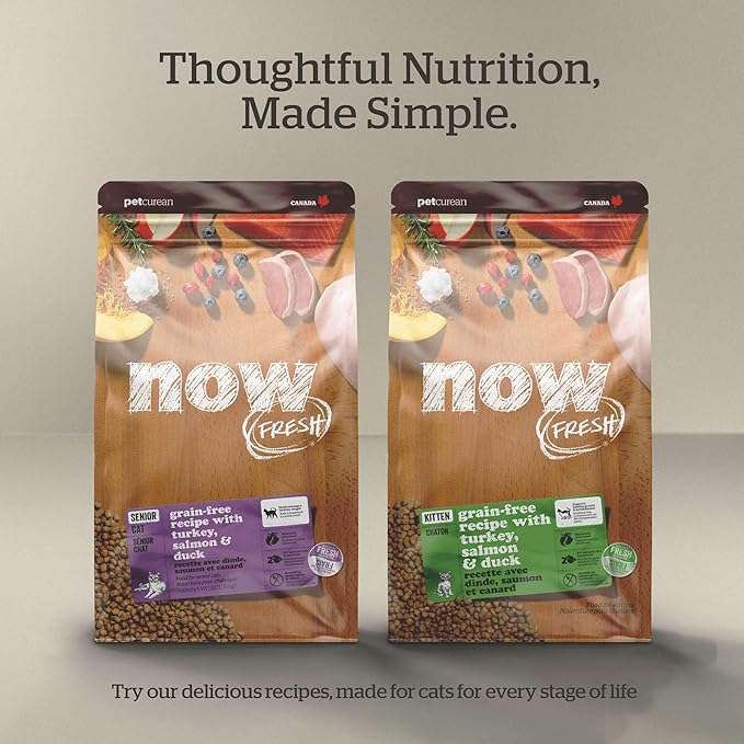 Now Fresh Grain-Free Dry Cat Food with Turkey, Salmon &amp; Duck, Healthy Kibble for Adults Made with Real Meat &amp; Fish, Chicken-Free, with Pumpkin &amp; Probiotics for Sensitive Stomachs, 8 lb Bag