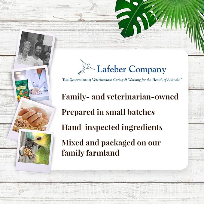 LAFEBER&
