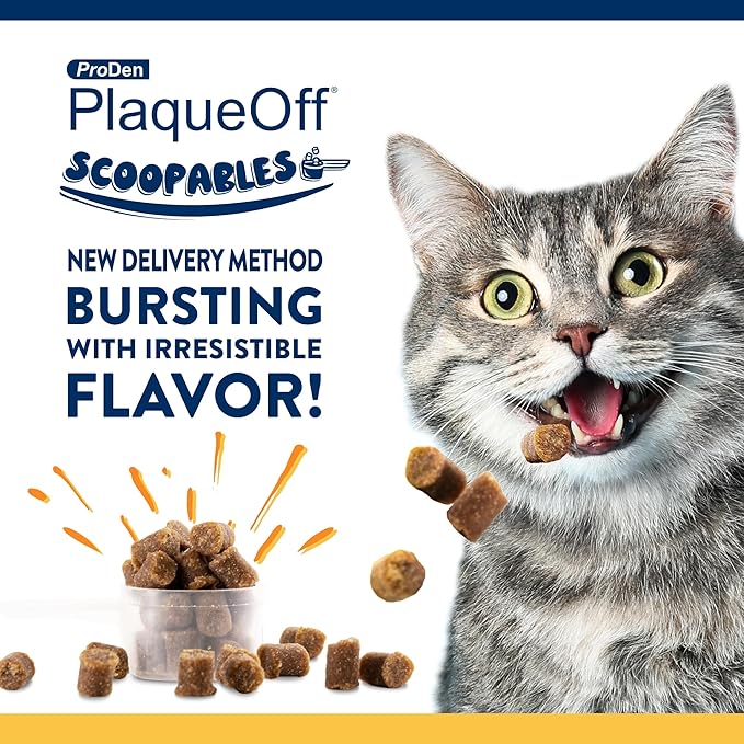 ProDen PlaqueOff Scoopables: Salmon-Flavored Dental Bites for Cats - Natural Kelp Formula for Plaque &amp; Tartar Control, Freshens Breath- 45 Scoops