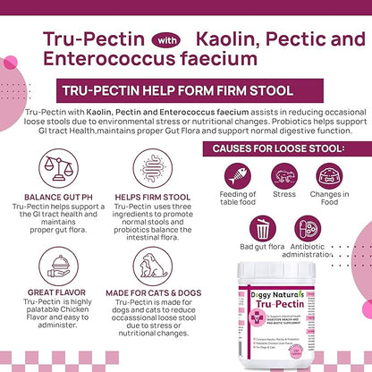 Tru-Pectin Anti-Diarrheal for Dogs &amp; Cats, 250 Tablets– Chicken Liver Flavor –Helps Reduce Occasional Loose Stool &amp; Diarrhea, Balance Gut pH, Support Normal Digestion &amp; Gut Flora -Made in USA