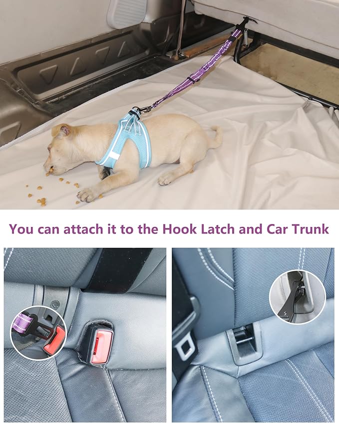 AUBELL Dog Seat Belt for Car,2 Pack Set 3-in-1 Adjustable Reflective Bungee Heavy Duty Dog Car Harness Tether with Clip Hook Latch &amp; Buckle,Swivel Zinc Alloy Carabiner,Black+Purple