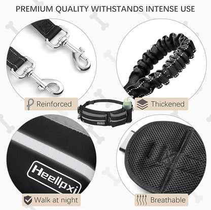 Hands-Free Waist Leash with Pouch for Two Dogs: Reflective Stitching, Dual Handle &amp; Bungee Retractable Design – Ideal for Medium to Large Dogs (Grey) – Dog Walking Accessories