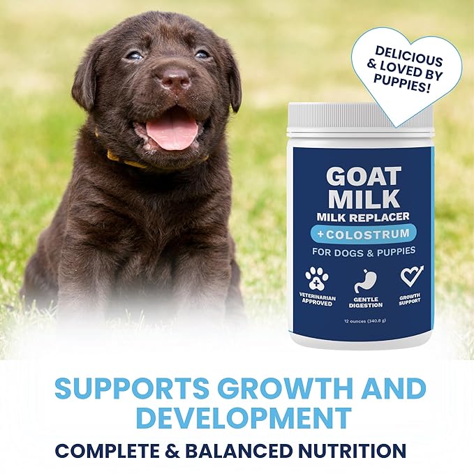 Under the Weather Puppy Milk Replacement Formula + Colostrum for Dogs &amp; Puppies | Goat Milk Replacer Powder | Goat-Based Formula with Colostrum for Immune &amp; Digestive Support - 12 oz
