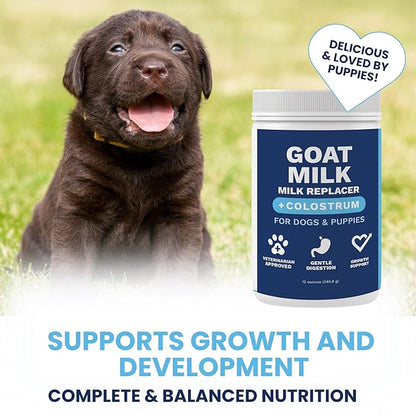 Under the Weather Puppy Milk Replacement Formula + Colostrum for Dogs &amp; Puppies | Goat Milk Replacer Powder | Goat-Based Formula with Colostrum for Immune &amp; Digestive Support - 12 oz
