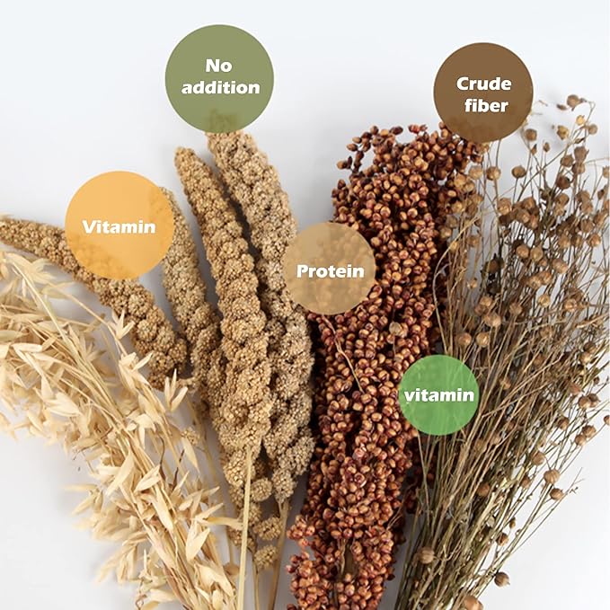 Natural Ear of Grain Flower&amp;Herb Bedding Mate Habitat Decor, Adding Fun Hamster Accessories for Hamsters Gerbils Lemming