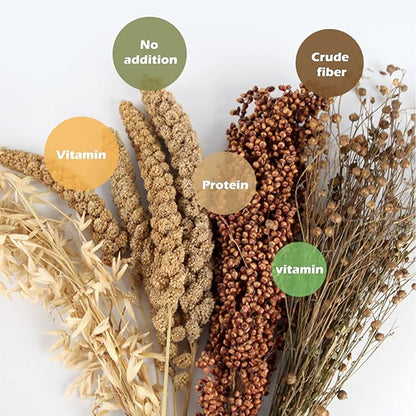 Natural Ear of Grain Flower&amp;Herb Bedding Mate Habitat Decor, Adding Fun Hamster Accessories for Hamsters Gerbils Lemming