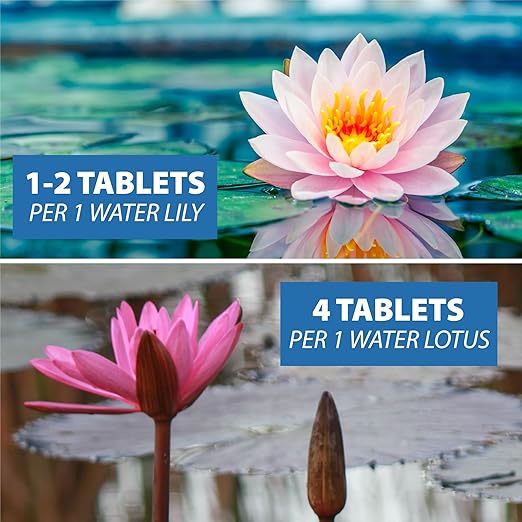 CrystalClear Thrive Aquatic Pond Plant Food, Fish Safe Water Garden Fertilizer, Nutrients Boost Lily &amp; Lotus Flower Bloom &amp; Root Growth, 200 Tablets