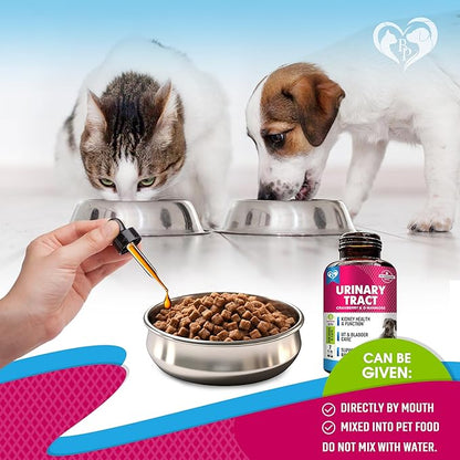 Beloved Pets Cat &amp; Dog Urinary Tract Infection Treatment &amp; Natural UTI Medicine Cranberry-Kidney+Bladder Support Supplement - Best Prevention Incontinence, Bladder Stones