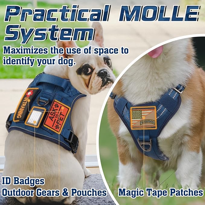 rabbitgoo Tactical Dog Harness for Small Dogs, No Pull Military Service Vest with Handle &amp; Molle, Easy Control for Training Walking, Adjustable Reflective Straps, Blue, S