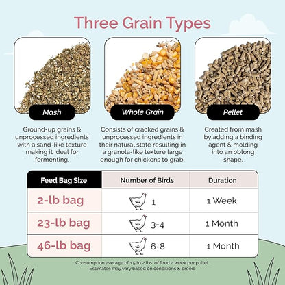 Organic Chicken Feed – Layer Whole Grain, Non-GMO, USA Grown, 16% Protein, Corn-Free, Soy-Free, Non-Medicated Feed for Chickens, 2 lb Sample