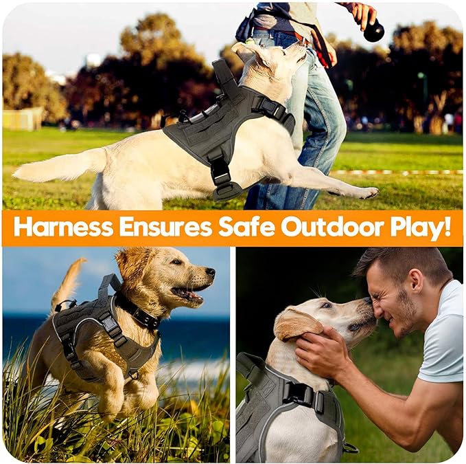 Heavy-Duty Tactical Dog Harness for Large Dogs, No Pull Adjustable Reflective Pet Vest with Molle System, K9 Military-Grade Control for Service Training, Outdoor &amp; 10+ Breeds, Gray, Small