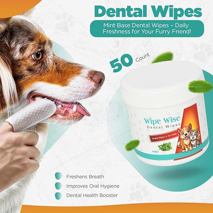 100 Pet Wipes (8x8&