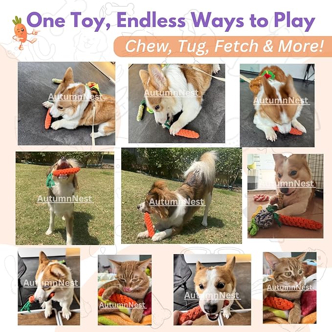 3PCS Orange Woven Pet Chew Set, Puppy Teething Chews, Dog Chew Treats, Cat Teething Playset, Safe Braided Chews for Pets, Durable &amp; Interactive